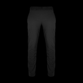 Womens Primaloft® Ascent Stretch Pants